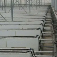 گلخانه۲۰۰۰|گل و گیاه طبیعی|شهرضا, |دیوار