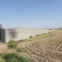 زمین کشاورزی با مجوز آماده برای ساخت گلخانه|فروش زمین و ملک کلنگی|شریفآباد, |دیوار