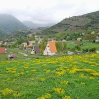 ۳۰۰مترزمین ،ییلاق زیبای اَنَل رضوانشهر|فروش زمین و ملک کلنگی|پره‌سر, |دیوار