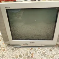 تلویزیون