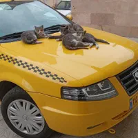 دربستی از اردبیل به تهران و بالعکس