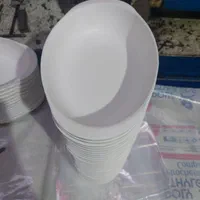 ظرف یک پرسی شله خوری پلاستیکی|ظروف نگهدارنده، پلاستیکی، یک‌بارمصرف|مشهد, عامل|دیوار