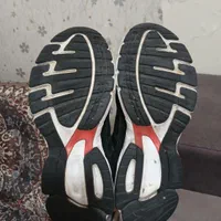 کتونی اکومنت ۱۰|کیف، کفش، کمربند|تهران, طیب|دیوار