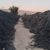 خریدار نوار تیپ