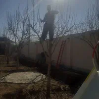 باغبانی سمپاشی تیلرزدن گلکاری کود دهی درتمام نقاط|خدمات باغبانی و درختکاری|مشهد, توس (بلوار توس)|دیوار