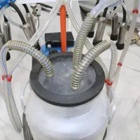 شیردوش شیر دوش گاو دوش گوسفند اتوماتیک|ماشینآلات صنعتی|مشهد, توس (بلوار توس)|دیوار