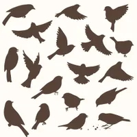 پرنده پیدا شده