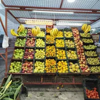 گاری کاسبی|فروشگاه و مغازه|رشت, سلیمانداراب|دیوار