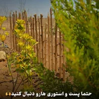 باغ ۵۰۰ و ۷۵۰ و ۱۰۰۰ متری با سند نقد واقساط|فروش زمین و ملک کلنگی|اصفهان, مهدی آباد|دیوار