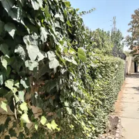 ملاردویلای جنوبی ۱۵۰۰متر دیوار قدیمی