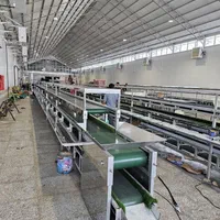 دستگاه شستشوی میوه سبزی سورتینگ نوار نقاله|ماشین‌آلات صنعتی|شریف‌آباد, |دیوار