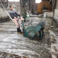 قالیشوی مبل شوی نوید نسیم شهر همدانک خیرآباد اورین|خدمات نظافت|نسیم‌شهر, |دیوار