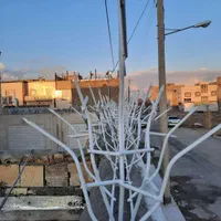 حفاظ دیواری ( شاخ گوزنی )|مصالح و تجهیزات ساختمان|قائن, |دیوار