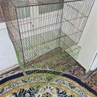 قفس