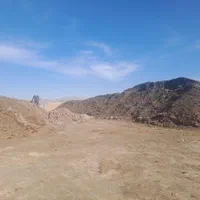 کود کمپوست عمده|خدمات باغبانی و درختکاری|شیراز, دانشگاه شیراز|دیوار