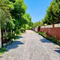 600متر زمین ویوجنگل شهرک سرسبزاقساطی زیرقیمت تهاتر|فروش زمین و ملک کلنگی|آمل, |دیوار