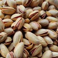 پسته اکبری|خوردنی و آشامیدنی|تهران, مرزداران|دیوار