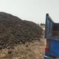 کود حیوانی برای باغ وگلخانه