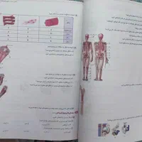 ماجرای بیست علوم خیلی سبز هشتم|کتاب و مجله آموزشی|تهران, نارمک|دیوار