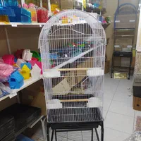 دنیای قفس و لوازم جانبی پرندگان زینتی|لوازم جانبی حیوانات|تبریز, |دیوار