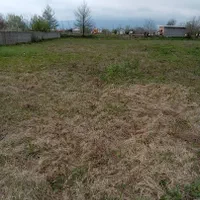 زمین ۱۰۰۰ متر۲۵۰ متر مسکونی سنگردهبنه کد(۳۵۴۳)|فروش زمین و ملک کلنگی|سنگر, |دیوار