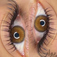 اکستنشن وکاشت‌ مژه بامژه های ابریشمی و سبک ولیفت|خدمات آرایشگری و زیبایی|رشت, توشیبا|دیوار