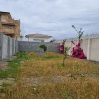 ۲۵۰متر زمین ساحلی شهرکی سنددار در چپکرود جویبار