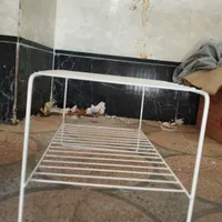 نظم دهنده نو|آب‌چکان و نظم‌دهنده ظروف|اندیمشک, |دیوار