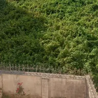 اسکان رایگان