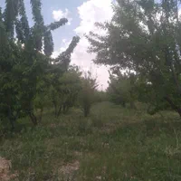 فروش باغ ۱۰۰۰ متری شهرکرد منطقه آزاد پل زمانخان|فروش زمین و ملک کلنگی|اهواز, پردیس|دیوار
