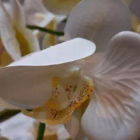گل ارکیده لمسی|گل مصنوعی|تهران, پردیسان|دیوار