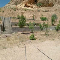 فروش زمین با مجوز گلخانه در شهر سیدان|فروش دفتر صنعتی، کشاورزی، تجاری|مرودشت, تخت جمشید|دیوار