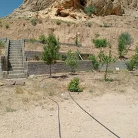 فروش زمین با مجوز گلخانه در شهر سیدان|فروش دفتر صنعتی، کشاورزی، تجاری|مرودشت, تخت جمشید|دیوار