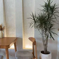 میکروسمنت/میکروسمنت فروش/اجرا میکروسمنت|خدمات پیشه و مهارت|تبریز, |دیوار