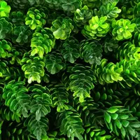 گرین وال با طراحی مدرن و جذاب|مصالح و تجهیزات ساختمان|تهران, سازمان برنامه|دیوار