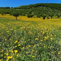 سوییت و اقامتگاه بومگردی درفک سیبن|اجارهٔ کوتاه‌مدت آپارتمان و سوئیت|بره‌سر, |دیوار