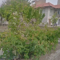 اجاره ی کوتاه مدت و بلند مدت انواع سوئیت در شاندیز|اجارهٔ کوتاه‌مدت آپارتمان و سوئیت|شاندیز, |دیوار