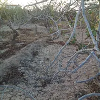 فروش ۲۲۰ متری قسطی