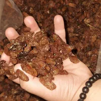 کشمش آفتابی کیسه سبزامیدخدادادی|عمده‌فروشی|مشهد, جلالیه|دیوار