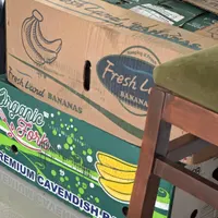 کارتن موز و کارتن سیگار