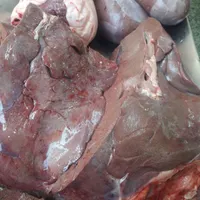 جگر شتر فقط امروزکیلو ۱۵۰۰۰۰|خوردنی و آشامیدنی|قم, چهار مردان|دیوار