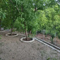 سوییت مستقل در فضای باغ|اجارهٔ کوتاه‌مدت آپارتمان و سوئیت|سی‌سخت, |دیوار