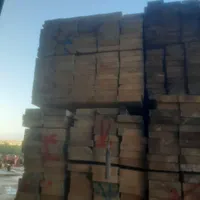 نیروی کار چوببری