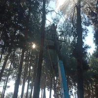 خدمات جرثقیل شبانه روزی با سبد|خدمات حمل و نقل|بیرجند, |دیوار