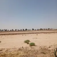 فروش زمین ۲۰۰ متری مسکونی گرگاب روبرو کلانتری|فروش زمین و ملک کلنگی|شاهین‌شهر, گرگاب|دیوار