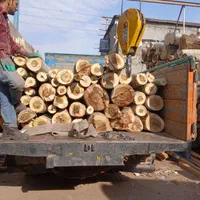 تخته قالب بندی. تخته دفنی تخته زیرپابنایی .قیدمبلی|مصالح و تجهیزات ساختمان|مشهد, نوید|دیوار