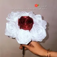 گل ربانی بسیار زیبا