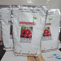 فروش بذر تربچه emmaseed F1|خدمات باغبانی و درختکاری|اصفهان, باغ فردوس|دیوار