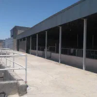 گاوداری دامداری تولیدی5000متری|فروش دفتر صنعتی، کشاورزی، تجاری|مشهد, شهرک شهید باهنر|دیوار