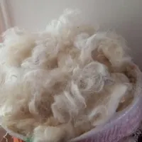 پشم گوسفندی و کرک مو